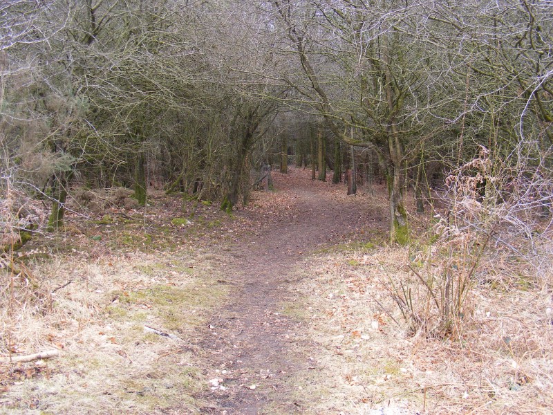 Holme Park Quarry Local Nature Reserve 18th March 2010